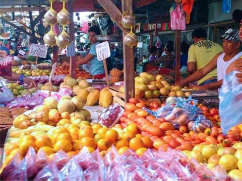 The Real Cartagena Tour – Experience The Real Cartagena